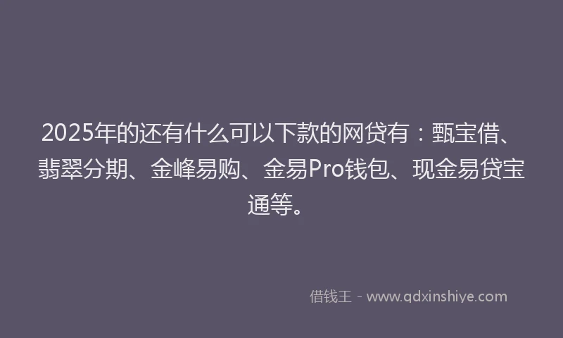 2025年的还有什么可以下款的网贷有：甄宝借、翡翠分期、金峰易购、金易Pro钱包、现金易贷宝通等。
