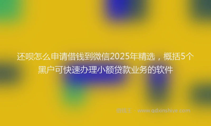 还呗怎么申请借钱到微信2025年精选，概括5个黑户可快速办理小额贷款业务的软件