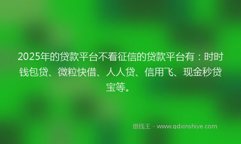 2025年的贷款平台不看征信的贷款平台有：时时钱包贷、微粒快借、人人贷、信用飞、现金秒贷宝等。