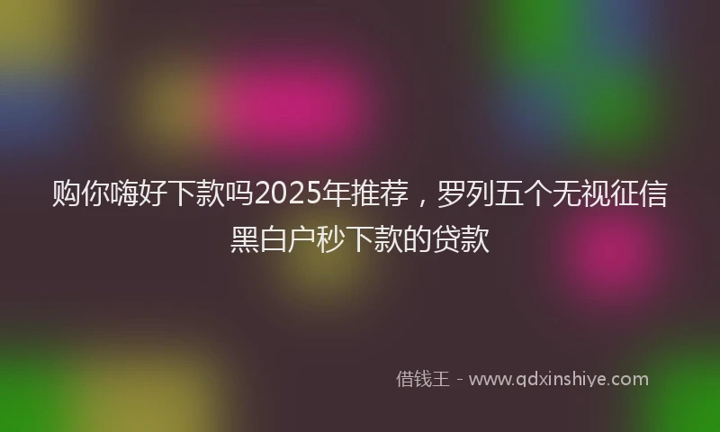 购你嗨好下款吗2025年推荐，罗列五个无视征信黑白户秒下款的贷款