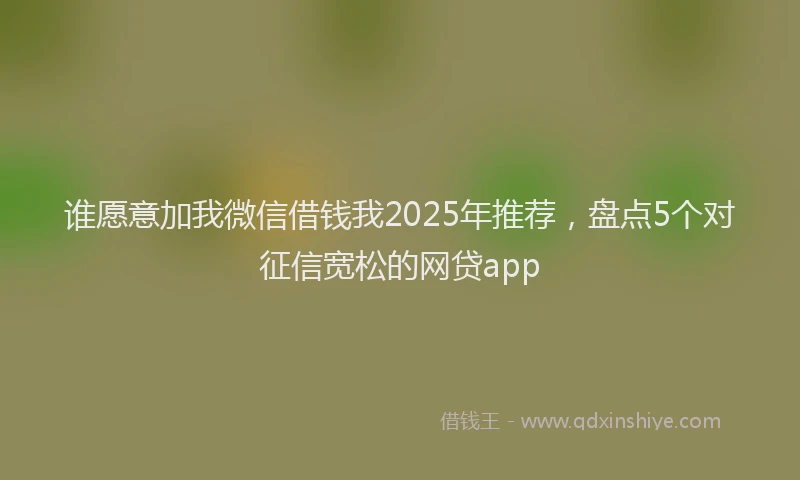 谁愿意加我微信借钱我2025年推荐，盘点5个对征信宽松的网贷app