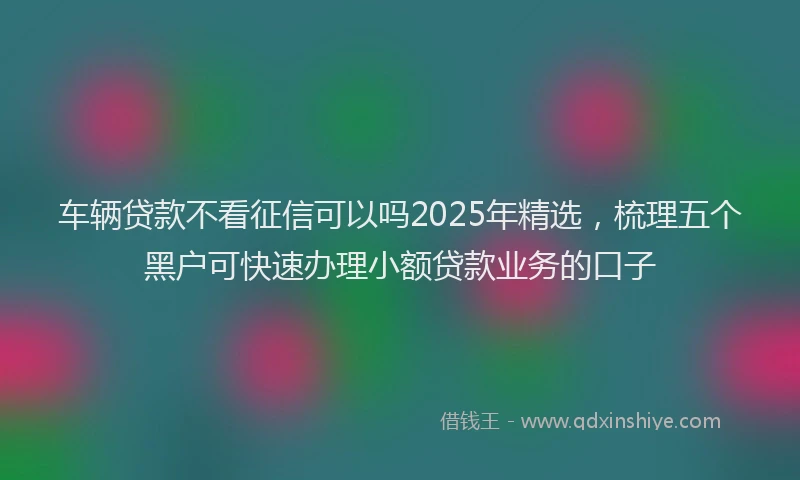 车辆贷款不看征信可以吗2025年精选，梳理五个黑户可快速办理小额贷款业务的口子