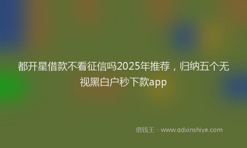 都开星借款不看征信吗2025年推荐，归纳五个无视黑白户秒下款app
