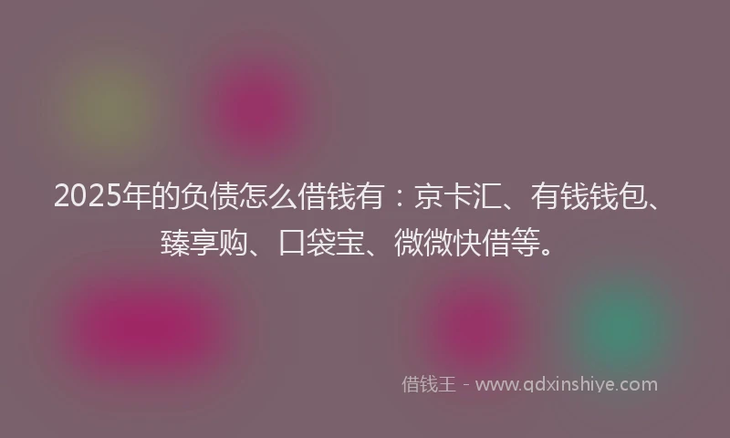 2025年的负债怎么借钱有：京卡汇、有钱钱包、臻享购、口袋宝、微微快借等。