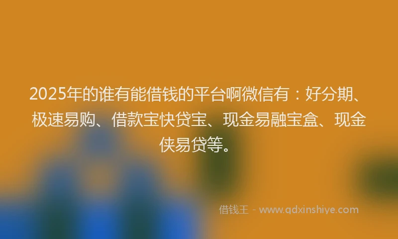 2025年的谁有能借钱的平台啊微信有：好分期、极速易购、借款宝快贷宝、现金易融宝盒、现金侠易贷等。