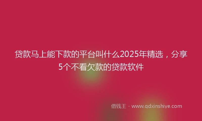 贷款马上能下款的平台叫什么2025年精选，分享5个不看欠款的贷款软件