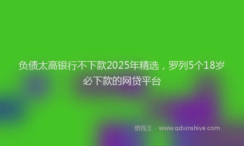 负债太高银行不下款2025年精选，罗列5个18岁必下款的网贷平台