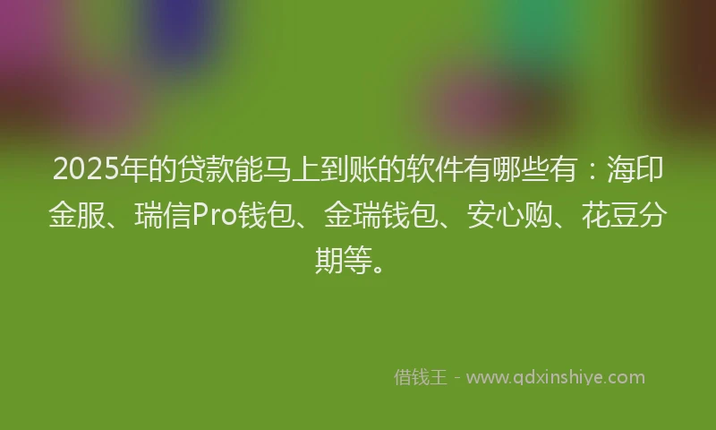 2025年的贷款能马上到账的软件有哪些有：海印金服、瑞信Pro钱包、金瑞钱包、安心购、花豆分期等。