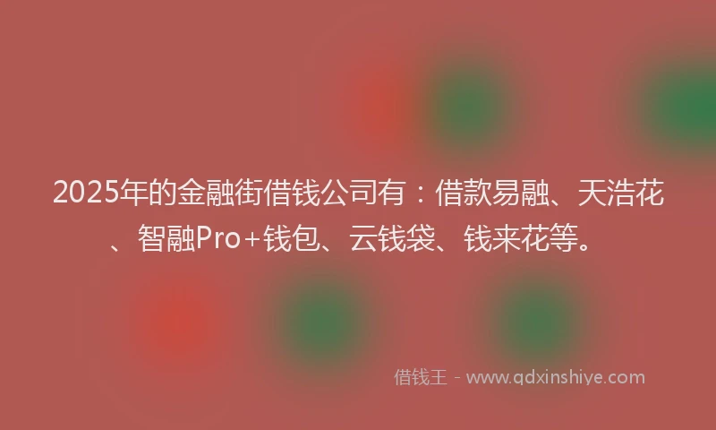 2025年的金融街借钱公司有：借款易融、天浩花、智融Pro+钱包、云钱袋、钱来花等。