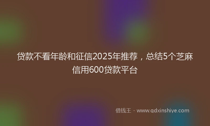 贷款不看年龄和征信2025年推荐，总结5个芝麻信用600贷款平台