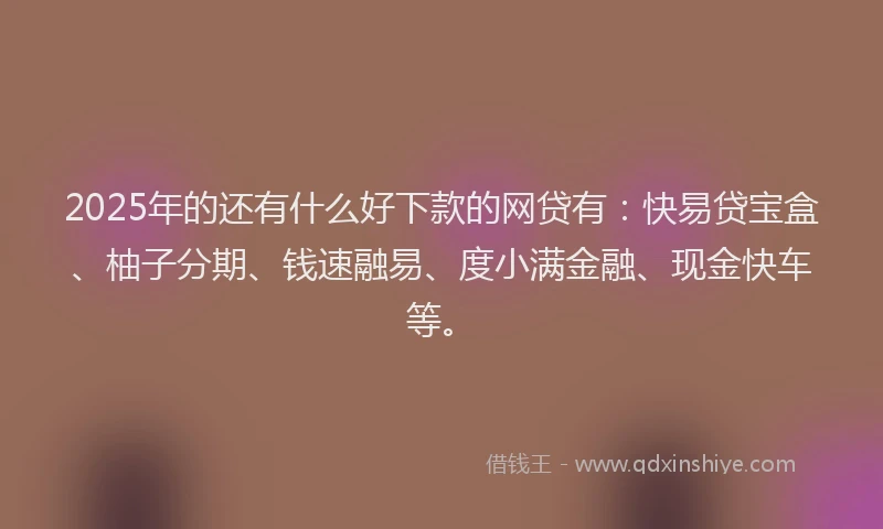 2025年的还有什么好下款的网贷有：快易贷宝盒、柚子分期、钱速融易、度小满金融、现金快车等。