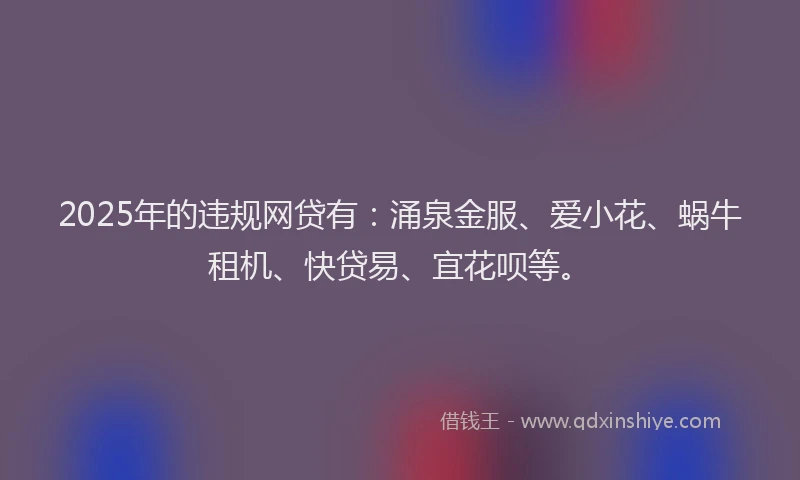 2025年的违规网贷有：涌泉金服、爱小花、蜗牛租机、快贷易、宜花呗等。