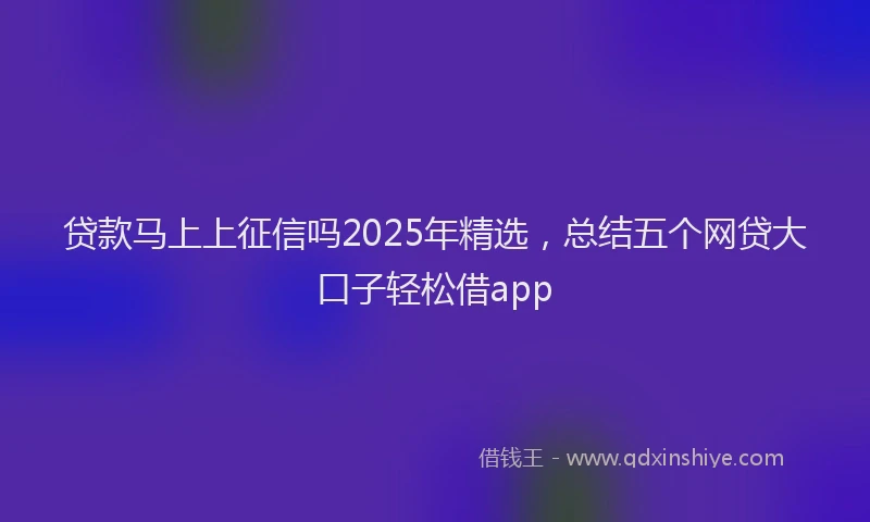 贷款马上上征信吗2025年精选，总结五个网贷大口子轻松借app