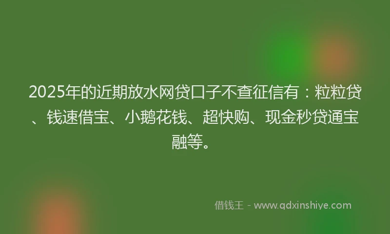 2025年的近期放水网贷口子不查征信有：粒粒贷、钱速借宝、小鹅花钱、超快购、现金秒贷通宝融等。