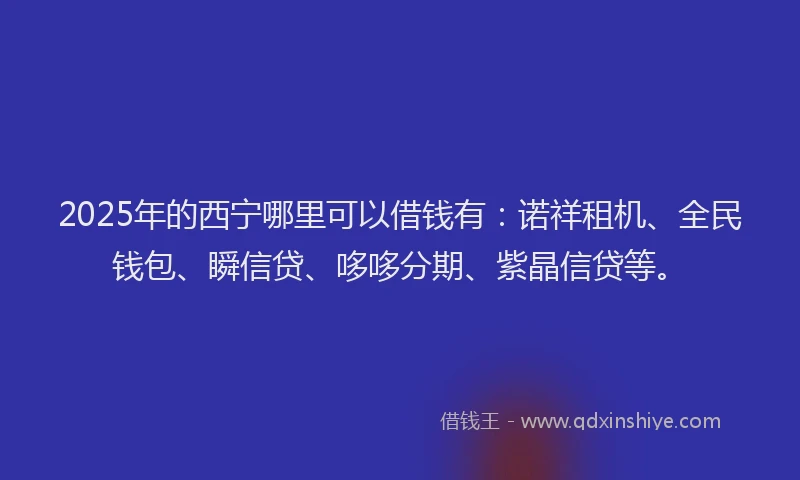 2025年的西宁哪里可以借钱有：诺祥租机、全民钱包、瞬信贷、哆哆分期、紫晶信贷等。