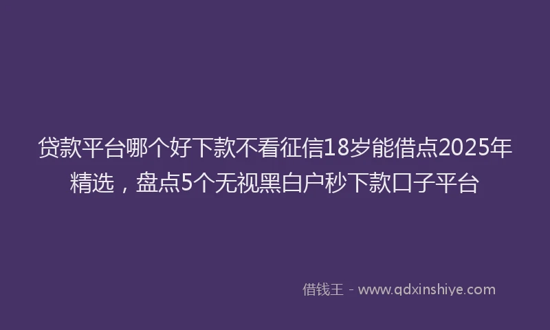 贷款平台哪个好下款不看征信18岁能借点2025年精选，盘点5个无视黑白户秒下款口子平台