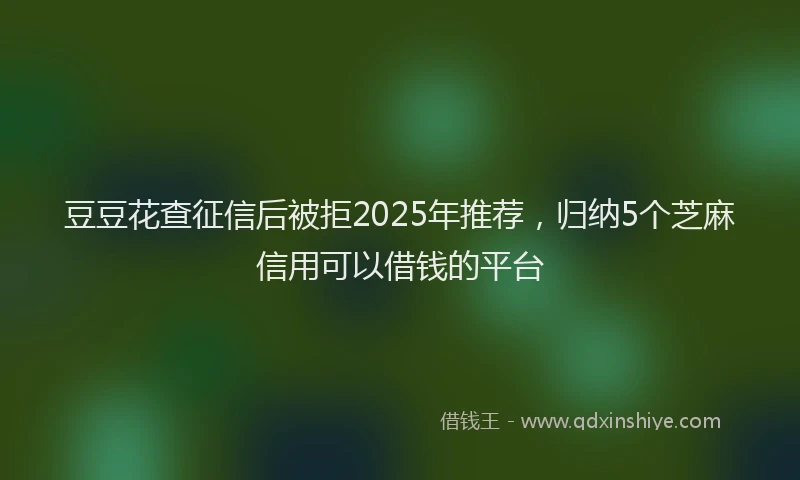豆豆花查征信后被拒2025年推荐，归纳5个芝麻信用可以借钱的平台