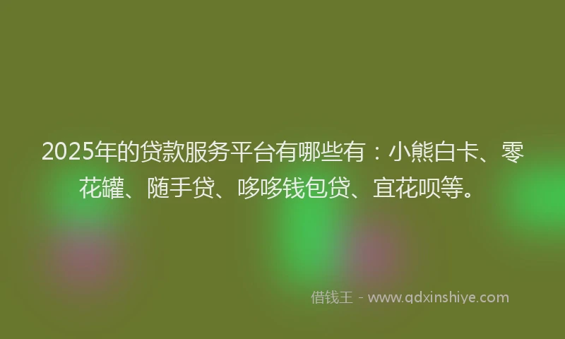 2025年的贷款服务平台有哪些有：小熊白卡、零花罐、随手贷、哆哆钱包贷、宜花呗等。