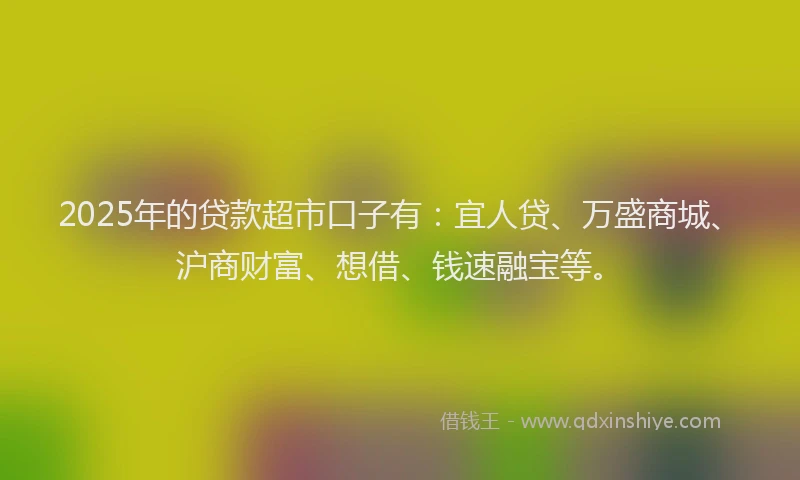2025年的贷款超市口子有：宜人贷、万盛商城、沪商财富、想借、钱速融宝等。