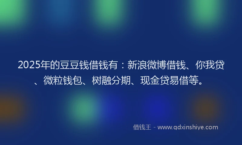 2025年的豆豆钱借钱有：新浪微博借钱、你我贷、微粒钱包、树融分期、现金贷易借等。