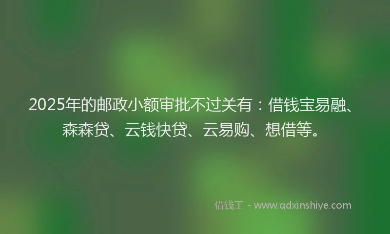 2025年的邮政小额审批不过关有：借钱宝易融、森森贷、云钱快贷、云易购、想借等。
