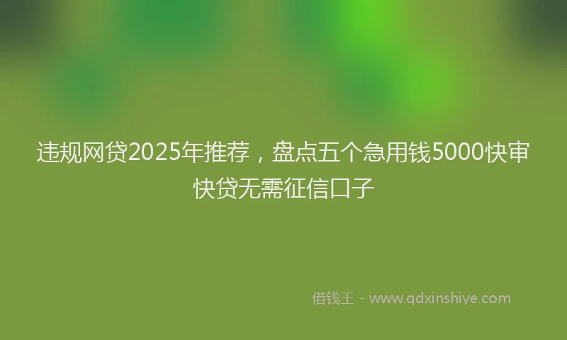 违规网贷2025年推荐，盘点五个急用钱5000快审快贷无需征信口子