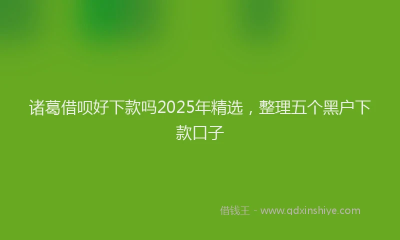 诸葛借呗好下款吗2025年精选，整理五个黑户下款口子