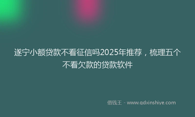 遂宁小额贷款不看征信吗2025年推荐，梳理五个不看欠款的贷款软件