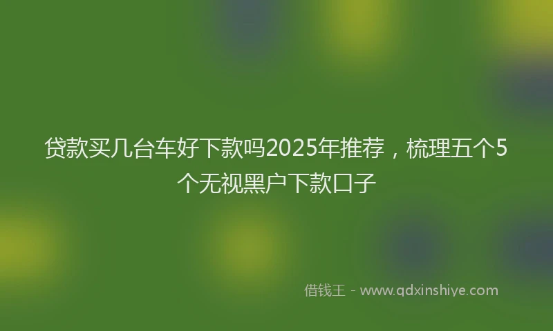 贷款买几台车好下款吗2025年推荐，梳理五个5个无视黑户下款口子