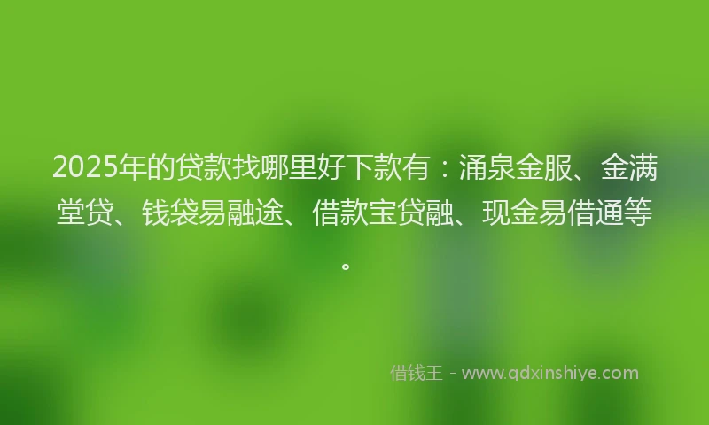2025年的贷款找哪里好下款有：涌泉金服、金满堂贷、钱袋易融途、借款宝贷融、现金易借通等。