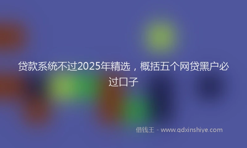 贷款系统不过2025年精选，概括五个网贷黑户必过口子