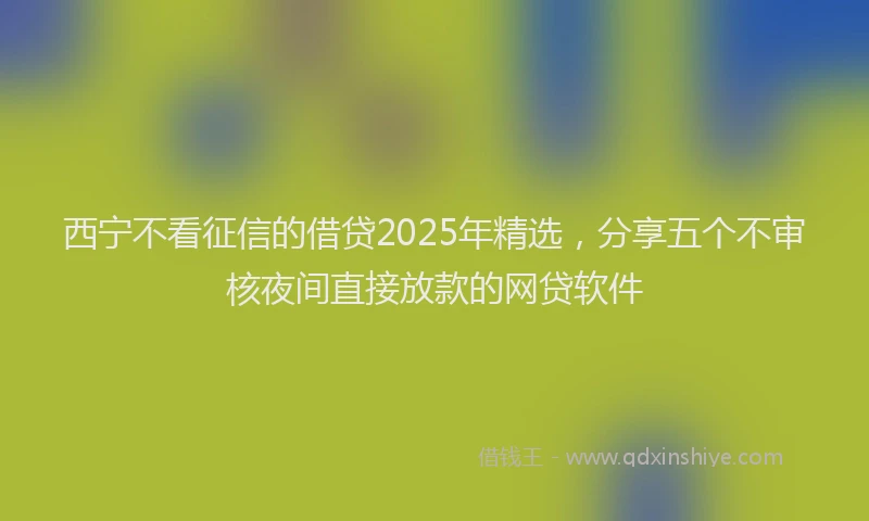 西宁不看征信的借贷2025年精选，分享五个不审核夜间直接放款的网贷软件