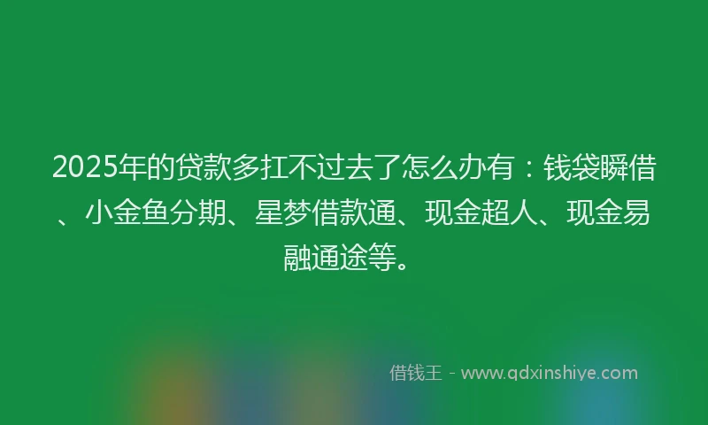 2025年的贷款多扛不过去了怎么办有：钱袋瞬借、小金鱼分期、星梦借款通、现金超人、现金易融通途等。