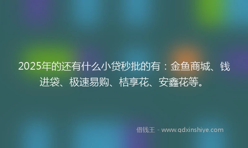 2025年的还有什么小贷秒批的有：金鱼商城、钱进袋、极速易购、桔享花、安鑫花等。