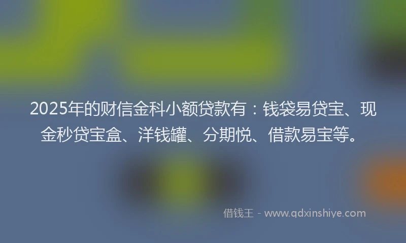 2025年的财信金科小额贷款有：钱袋易贷宝、现金秒贷宝盒、洋钱罐、分期悦、借款易宝等。