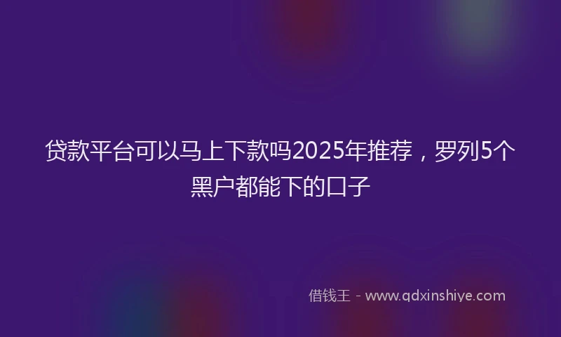 贷款平台可以马上下款吗2025年推荐，罗列5个黑户都能下的口子