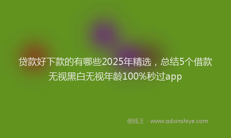 贷款好下款的有哪些2025年精选，总结5个借款无视黑白无视年龄100%秒过app