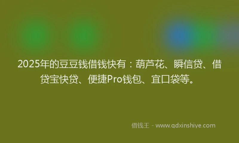 2025年的豆豆钱借钱快有：葫芦花、瞬信贷、借贷宝快贷、便捷Pro钱包、宜口袋等。