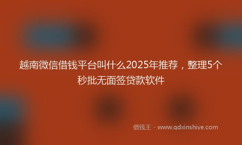 越南微信借钱平台叫什么2025年推荐，整理5个秒批无面签贷款软件