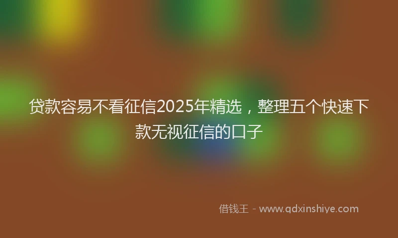 贷款容易不看征信2025年精选，整理五个快速下款无视征信的口子