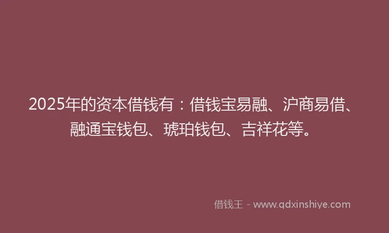 2025年的资本借钱有：借钱宝易融、沪商易借、融通宝钱包、琥珀钱包、吉祥花等。