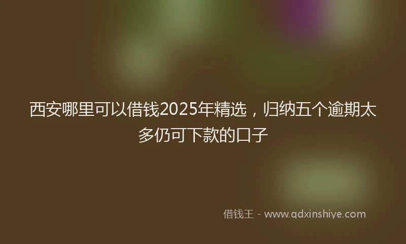 西安哪里可以借钱2025年精选，归纳五个逾期太多仍可下款的口子