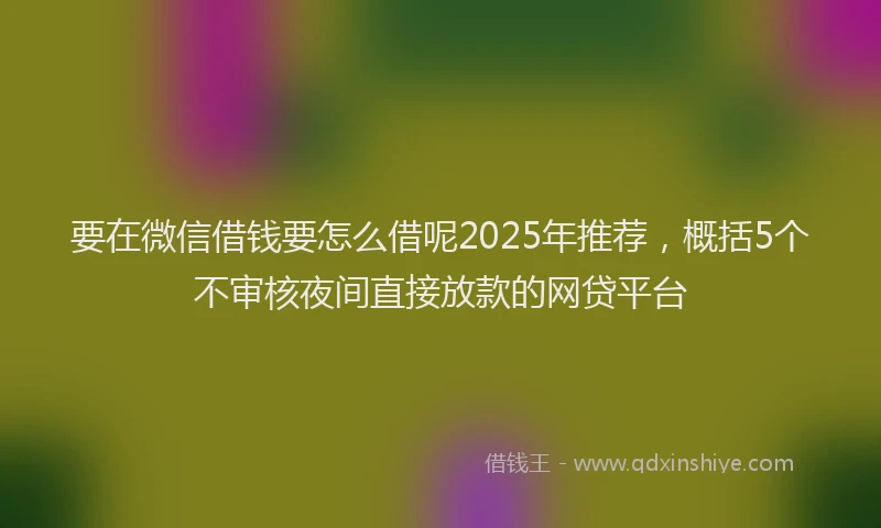 要在微信借钱要怎么借呢2025年推荐，概括5个不审核夜间直接放款的网贷平台
