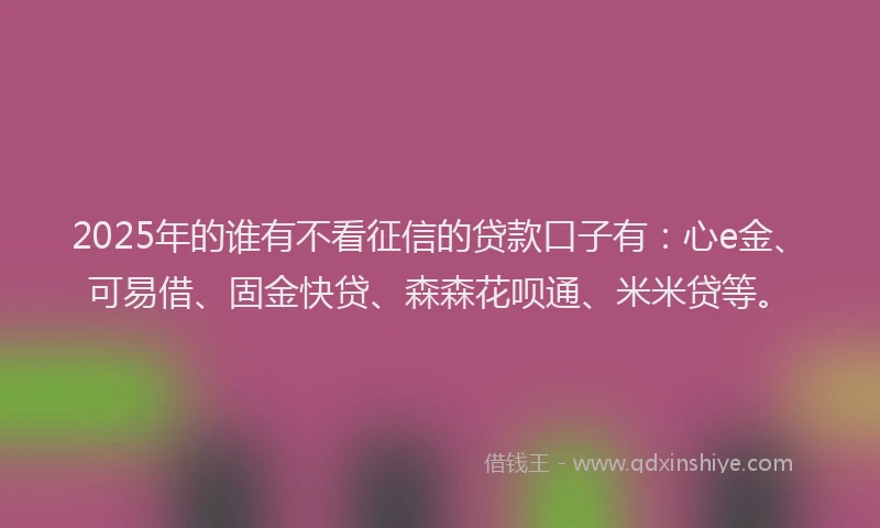 2025年的谁有不看征信的贷款口子有：心e金、可易借、固金快贷、森森花呗通、米米贷等。