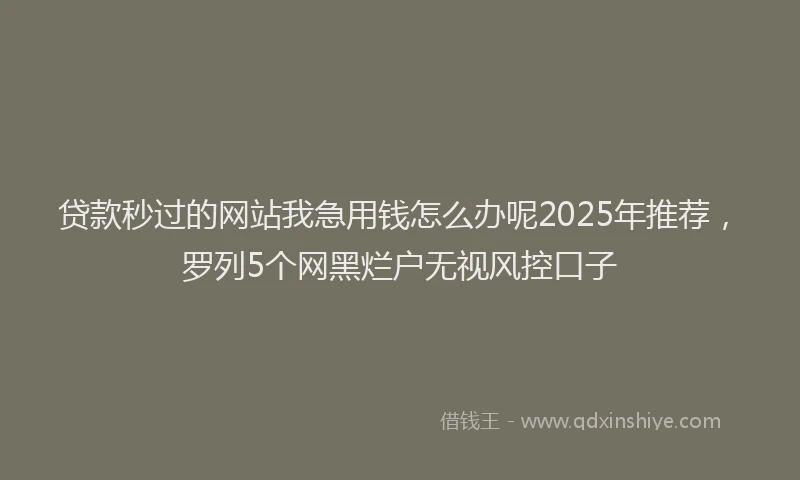 贷款秒过的网站我急用钱怎么办呢2025年推荐，罗列5个网黑烂户无视风控口子