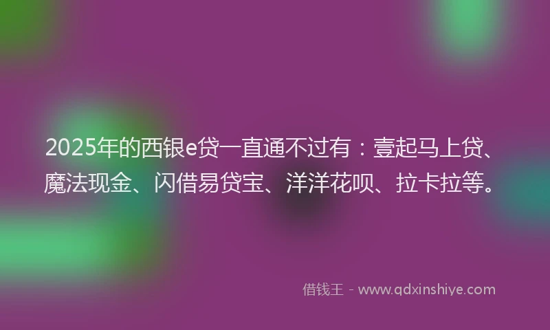 2025年的西银e贷一直通不过有：壹起马上贷、魔法现金、闪借易贷宝、洋洋花呗、拉卡拉等。