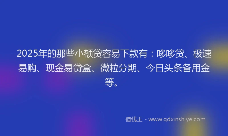 2025年的那些小额贷容易下款有：哆哆贷、极速易购、现金易贷盒、微粒分期、今日头条备用金等。