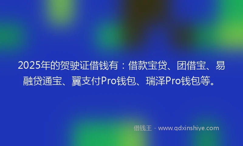 2025年的贺驶证借钱有：借款宝贷、团借宝、易融贷通宝、翼支付Pro钱包、瑞泽Pro钱包等。