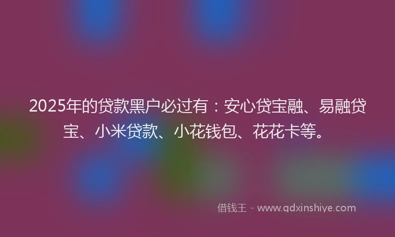 2025年的贷款黑户必过有：安心贷宝融、易融贷宝、小米贷款、小花钱包、花花卡等。