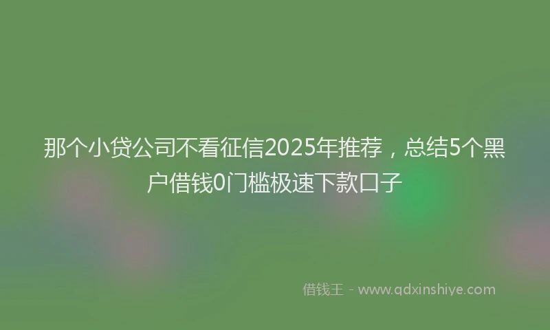 那个小贷公司不看征信2025年推荐，总结5个黑户借钱0门槛极速下款口子